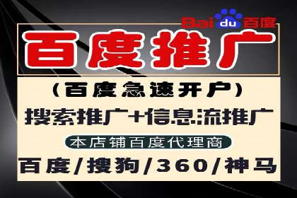 成功SEM推广竞价案例分享